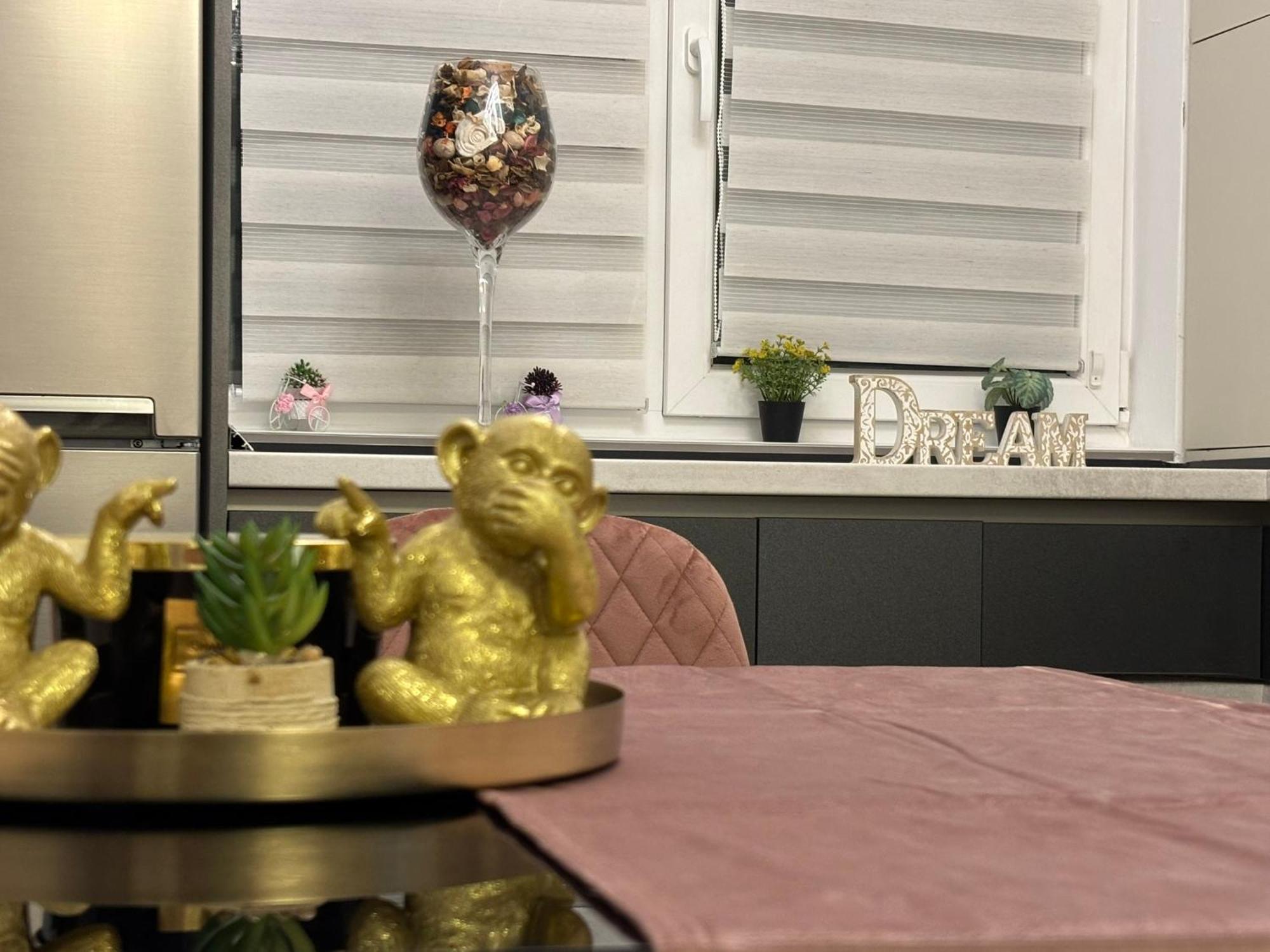 Dream Apartament บิสตริซา ภายนอก รูปภาพ